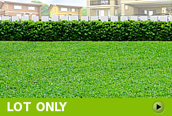 Lot for Sale in Cabanatuan City, Nueva Ecija